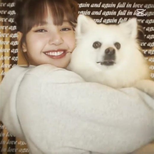 فك@رتي# #blackpink #kpop #اكسبلور #ستراي_كيدز #جيسو_جيني_ليسا_روزي #اشتراك_بالقناة