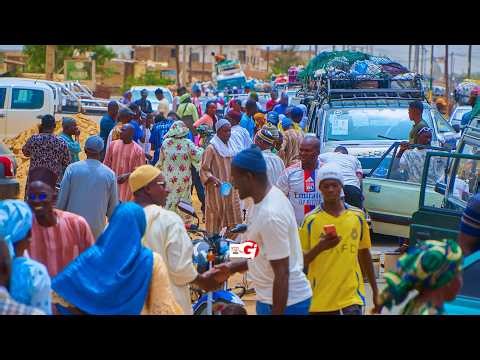 Direct return journey of the Ziarra convoy from Gaé to Tivaouane | May 11, 2026
