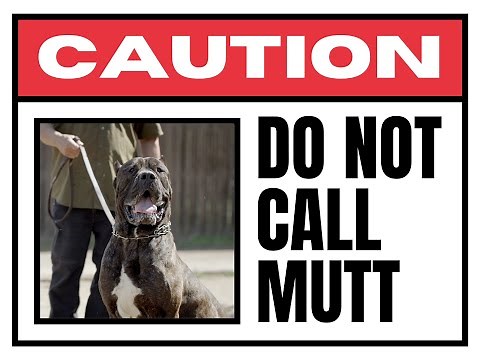 MUTT: The Underdog's Triumph!