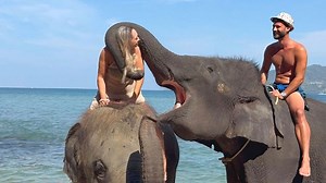 Elephant teases tourist with big kiss