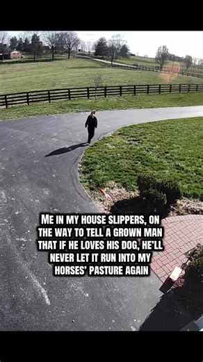 Might be a controversial opinion, but this is the exact threat that you think it is. Because ultimately a foreign dog in a field of horses can be incredibly risky for the safety of the horses. MY OWN DOGS ARENT EVEN ALLOWED IN THE PASTURES. Imagine thinking that it’s okay to go on a daily run with your dog off leash and it not having good enough recall to stay off people’s property. #farmliving #equestrian #horsegirl #kentucky #amateur