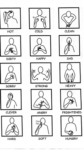 Makaton Signs #signs #bibekjeevan #father4son #makaton #makatonsigning