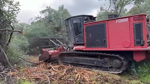 Coastal Vegetation Management going where no one else wants to go with the monster FTX600! Clearing invasive species also reduces the bushfire risk to neighboring properties. . . #fecon #landclearing #mulching #forestrymulching #vegetationmanagement #forestrymulcher #forestrymachinery #mulcher #mulchermafia #stumpgrinder #treeremoval #heavyequipmentoperator #heavyequipment #heavymachinery #heavyequipmentlife #heavyequipmentnation #bigmachines #trackedcarrier #trackedvehicles #forestryequipment #