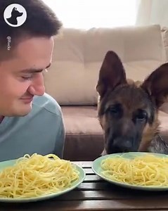 Who will win this spaghetti eating challenge 🍝 | Go Fetch