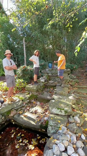 How to Build a Stunning Natural Backyard Stream