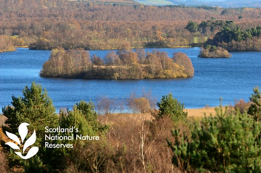 Muir of Dinnet National Nature Reserve