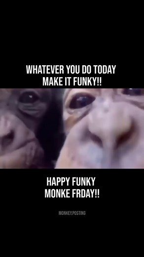 Home of the funky monkeys on Instagram: "HAVE A FUNKY MONKEY FRIDAY 🙈🎉🥳🦍🦧 . Follow -> @monkey.posting . . . . . . . . . . . . #skibidibbydibyodadubdubyodadubdubskibidibbydibyodadubdubyodadubdub #meme #memes #bestmemes #funny #instamemes #funnymemes #dankmemes #offensivememes #edgymemes #monkeymondays #primates #memepage #chimps #dank #memesdaily #chimp #memestar #monkeymonday #humor #ironymeme #igmemes #ironymemes #memeaccount #monkeyseemonkeydo #relatablememes #monkeymeme #irony"