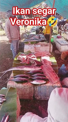Kasi gas ikan segar murah meria😲 #shorts