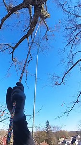 [Update at the end of the text] Rescuing a beautiful panther of a cat that spent 6 days in the top of this tree in Mt. Vernon, Ohio. The community of Mt. Vernon was made aware by Kelsie Victoria making a post and pleading for help to anyone to save this poor animal. Several ladder wielding residents, bucket trucks that were too short, and tree climbers that were unable to reach the cat attempted rescuing this poor guy. I took off work early on Friday and headed straight to Mount Vernon to see if