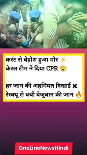 ⚡ मोर को दिया CPR #shorts #Kerala #Rescue #Viral