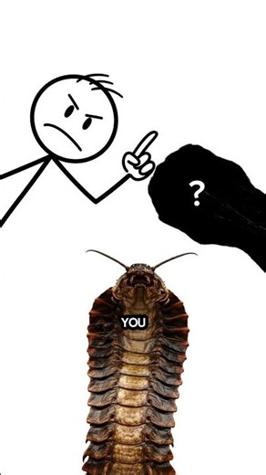 Most terrifying predator before dinosaurs