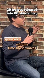 129K views · 1.1K reactions |  Multiple wolves are officially roaming the land south of I-70 in Colorado. #colorado #wolves #vail #aspen #denver #coloradosprings #coloradonews | OutThere Colorado | Facebook