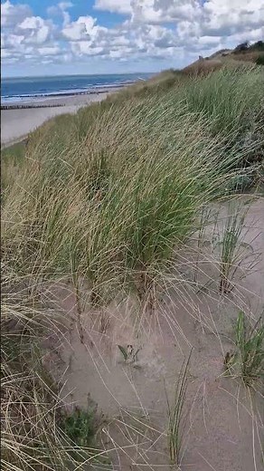 Sonne Wind und Meer Zoutelande September 2024 #urlaub #travel #kamperen