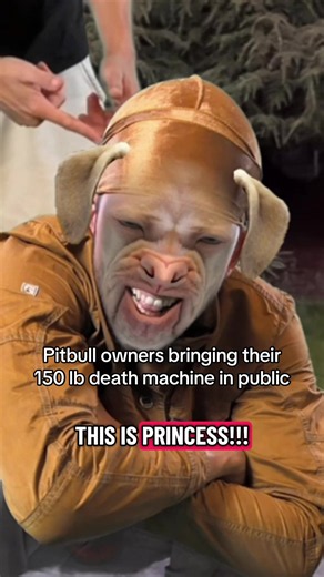 It’s how you raise them bro!!! -Person who’s raising them wrong #satire #pitbulls #pitbullsoftiktok #dogs #dogsoftiktok
