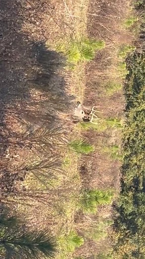This was a fun adventure on the way to the stand, watch til the end! | Charles Harris