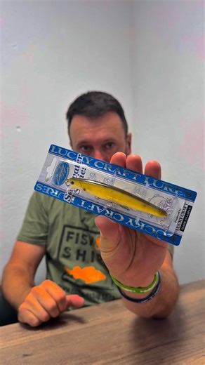 *** FLASH MINNOW *** Un leurre vieux comme le monde mais toujours indémodable ! Le Flash Minnow 110 reste un classique absolu. 🛒https://www.fishandship.shop/produits/poisson-nageur-lucky-craft-sw-flash-minnow-110sp-11045 #LuckyCraft #lurefishing #FishAndShip #Jerkbait #bar #labrax | Fish & Ship Shop