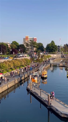 6 things to do when visiting Victoria BC Canada 🇨🇦 #thingstodo #victoria #victoriabc #britishcolumbia #britishcolumbiacanada #explorebritishcolumbia #canada #canadatravel #roadtrip #roadtrip202 #fyp #foryourpage