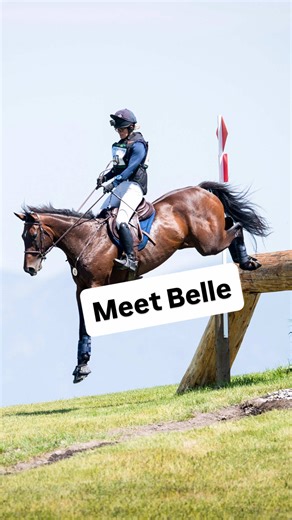The Journey of Belle: From Racing to Eventing Champion
