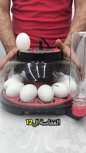 221K views · 961 reactions | Fox 2 on Reels | Facebook