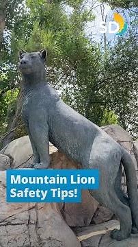 Mountain Lion Safety Tips