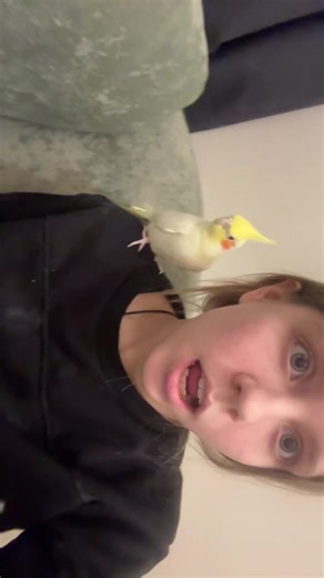 ✏️@ (@weeyksaa)’s videos with All I Got - Oliver Tree