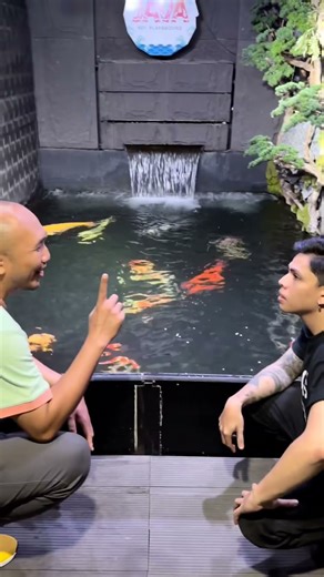 Cari hobby murah yang murah? emangnya ada?! #javapetco #ikan #ikankoi #reeftank #akuarium