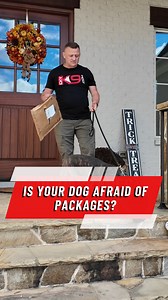 35K views · 460 reactions | Does your dog freak out over packages,...