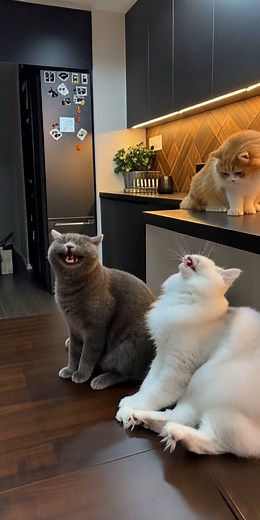 Bella Construction EP-11 #explorepage | Bella Construction