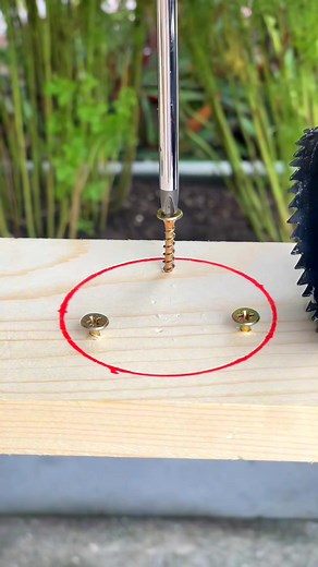 Remember this tip to use visual aids correctly. Green Bean Homemade Creative UNILAD Tech | Media Feelings