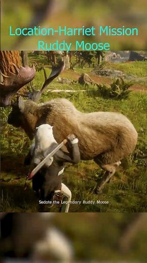 Legendary Moose Hunting Guide: Locations and Strategies for Success in RDO 🦌🛡️🥇
