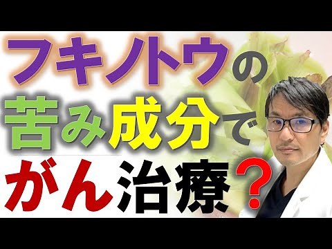 フキノトウの苦み成分「ペタシン」でがん治療？食べものから副作用の少ない抗がん剤開発に期待！