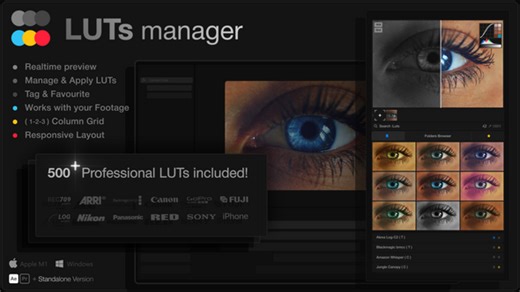 LUTs Manager: Real-Time Bulk Previews Tool & 500 LUTs for Effortless Professional Color Grading