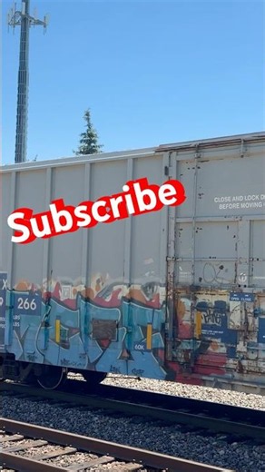 Graffiti Cars on a Union Pacific Freight Train 🚂