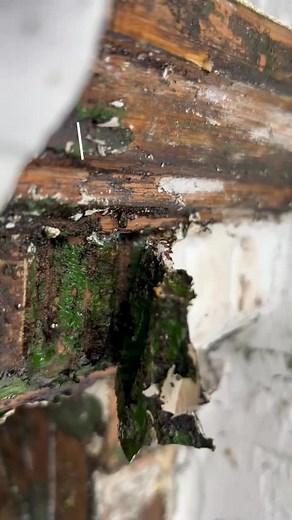 The 100 year old period door transformation… Sometimes you have to go back to bare, better finish, still with character but soo much better before. - Soumak by Paint & Paper Library #periodhome #frontdoor #restoration #londonhomes #howto | Woodway Windows