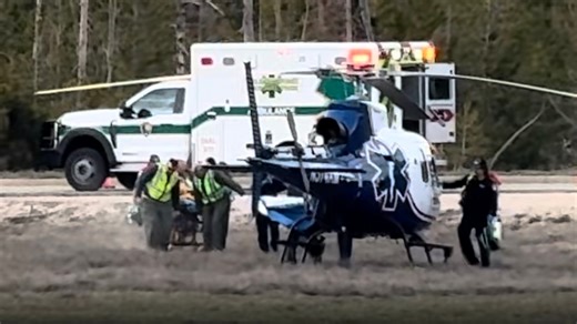 2 hikers injured in bear attack at Yellowstone National Park