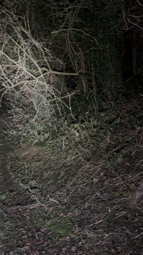 Real DEMON creature captured on camera OMG it’s disturbing!! 😭👹 | Project reveal - Ghosts of Britain