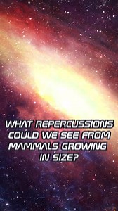 Next time you see a rat, keep this in mind. *Posted by Amanda S. of StarTalk* | Neil deGrasse Tyson