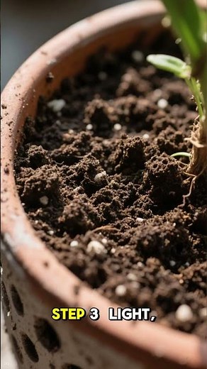 How to Grow Lemon Balm Indoors (Easy Care Guide)