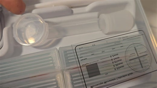 Growing Sotol from Seed and Mosquito Torture | Crime Pays But Botany Doesn't