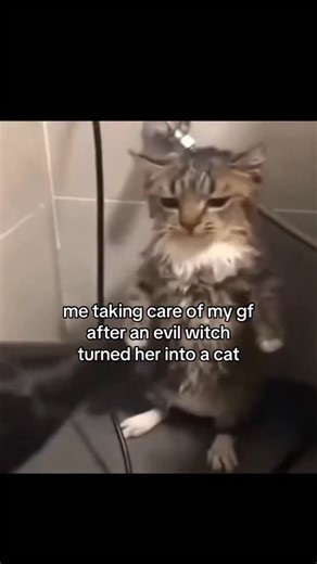 pastelpinky on Instagram: "电影制作人利用先进的电子动画技术将《五夜后宫》（FNAF）中的角色变为了现实。这些机器人不仅仅是电影道具，而是由著名的吉姆•汉森怪物商店（Jim Henson'sCreature Shop）打造的复杂机械实体。每个角色内部都装有精密的水压和伺服电机系统，能够模拟人类的动作和细微的面部表情。 与完全依赖 CGI（电脑绘图）不同，导演选择使用实物模型来增强恐怖的真实感。这种电子动画技术捕捉了金属摩擦和重量感，使观众能感受到这些机器人带来的压迫感。在拍摄现场，多名操作员通过远程控制系统同步协作，一个人控制头部动作，另一个人负责眼神，这种精细的配合让弗雷迪和他的伙伴们仿佛真的拥有了灵魂。这种结合了传统手工艺与现代科技的拍摄方式，完美还原了游戏最初带给粉丝的惊悚体验。 #五夜后宫 #电影 #知识#事实#你知道吗推荐科技创新电影幕后 技术 恐怖游戏 热门"