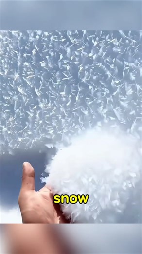 Why Fresh Snow Turns Rock Hard in Just Days ❄️ #shorts