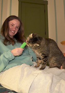Roocipher: A Day with the 'Spiciest' Shelter Cat