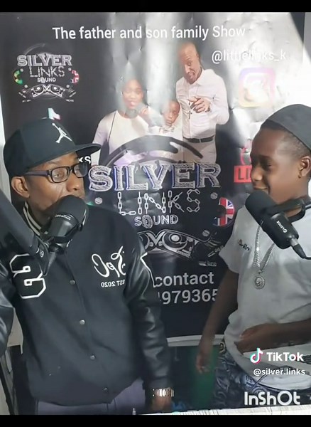 Silverlinks (@silver.links)’s videos with original sound - Silverlinks