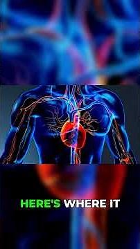 Amazing Health Benefits of Garlic and Olive Oil