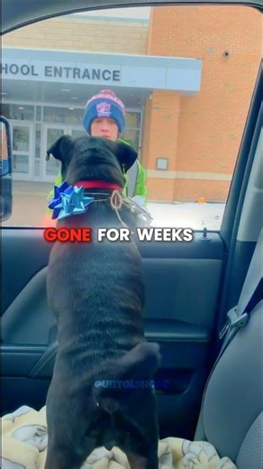 Boy Breaks Down When His Missing Dog Comes Home | 🐾❤️‍🩹 #shorts