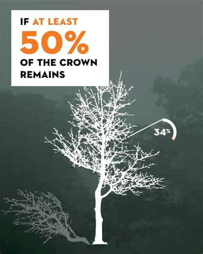 Prepare to weather any storm with the right tools from STIHL. Visit Eliot Small Engine Repair, Inc. to get the gear you need to keep your landscape in shape. | Eliot Small Engine Repair, Inc.