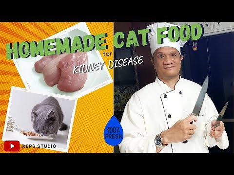 😺 HEALTHY CAT FOOD HOMEMADE for CAT WITH CKD KIDNEY DISEASE, COOK BOIL CHICKEN BREAST & VEGE