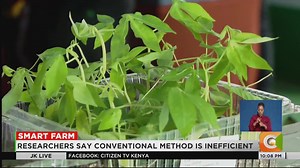 3.1K views · 81 reactions | Smart Farm Cassava propagation using semi-autotrophic hydroponics Technique promises to multiply planting materials faster Innovation uses single node cuttings to grow cassava Researchers say conventional method is inefficient #JKLive | Citizen TV Kenya | Facebook