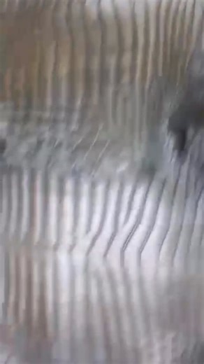 Sunny Exotic Tannery on Instagram: "❤️Save & Stock Up on your Heartfeltedly Loved Gifts from HIM above to us all🤞✝️❤️🙏 ✝️GOD WILLING, please SAVE for 48 Hrs on the Gift of 100% Real Exotic Skins for Your Leather Works & Luxury Brands, Bespoke Designers, Before Prices Change under the Glory of GOD🤞❤️🙏 🔷 Free Returns on Trusted, Rare & High-Quality Skins that Last Forever 🔷 Ships USA & Worldwide Securely from our Tannery 🔷 No MOQ w/ CITES tags 🔷 Save on Beautiful Himalayan, Exclusive Matte