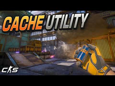 The Only Cache Utility Every Player Needs | CS2 Cache Utility Guide